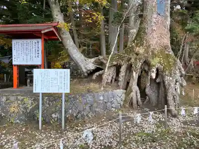 富士山東口本宮 冨士浅間神社のその他建物