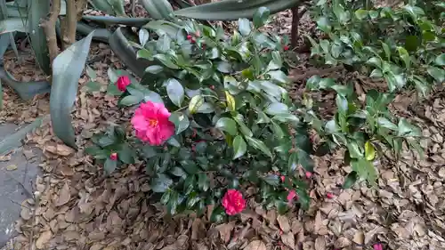 橋姫神社(京都府)