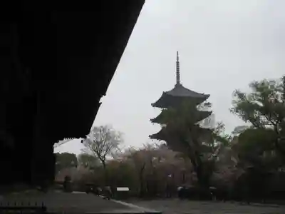 東寺(教王護国寺)の塔
