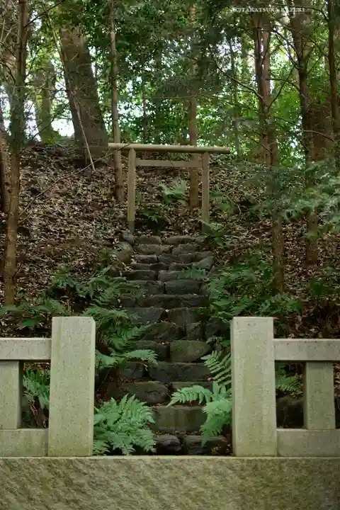 寒川神社(神奈川県)