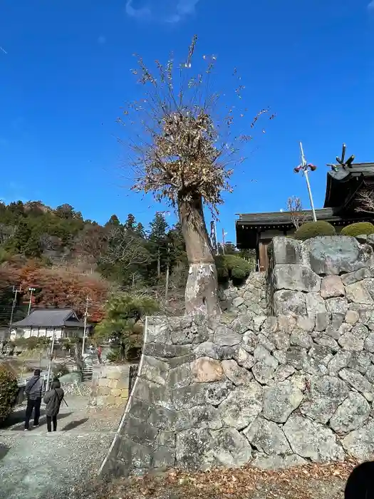 夫婦木神社の山門