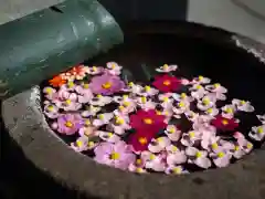 今市報徳二宮神社の手水