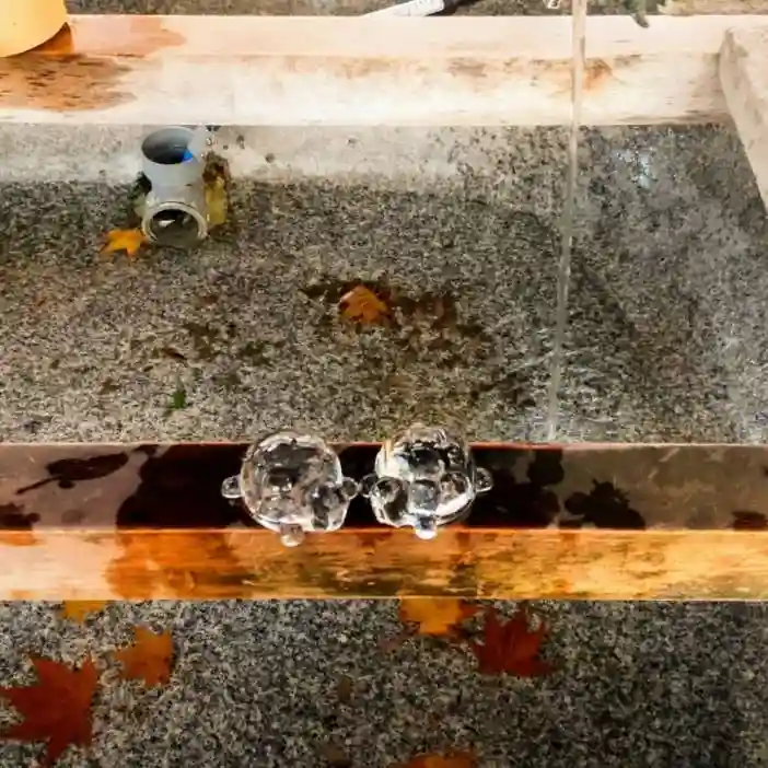 彌彦神社 (伊夜日子神社)の手水舎