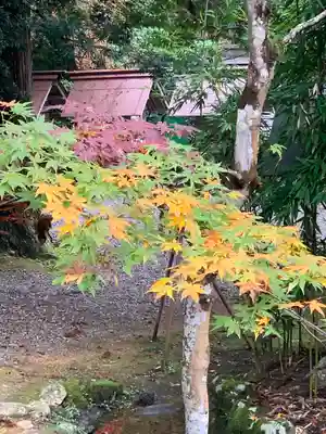 元伊勢内宮 皇大神社(京都府)
