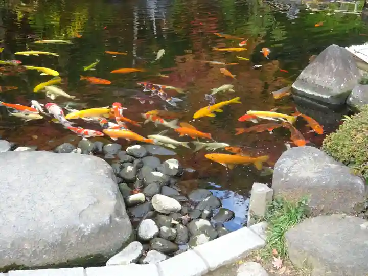 長谷寺(神奈川県)