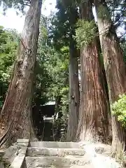 鹿島大神宮の自然