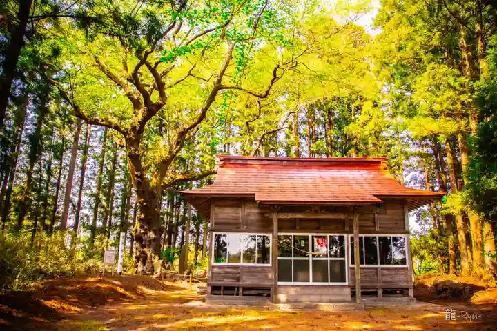 舘神社(宮城県)