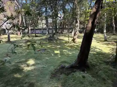 秋篠寺の{uncategorized: "未分類", other: "その他", undefined: "問題あり", building: "その他建物", grave: "お墓", sacred_gate: "鳥居", guardian: "狛犬", statue: "像", buddha: "仏像", history: "歴史", nature: "自然", garden: "庭園", animal: "動物", pagoda: "塔", temizu: "手水舎", mountain_gate: "山門・神門", sanctuary: "本殿・本堂", subordinate: "末社・摂社", art: "芸術", scenery: "景色", jizo: "地蔵", ema: "絵馬", goshuin: "御朱印", omikuji: "おみくじ", items: "授与品その他", amulet: "お守り", goshuincho: "御朱印帳", eats: "食事", festival: "お祭り", votive_dance: "神楽", shichigosan: "七五三参", wedding: "結婚式", experience: "体験その他", initially: "初詣", around: "周辺", anti_infection: "感染症対策"}