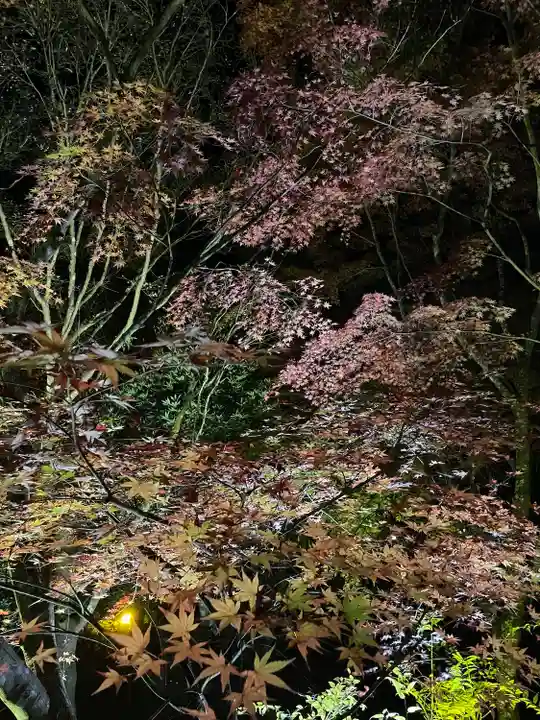 尊永寺(静岡県)