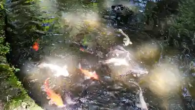 都々古別神社(八槻)(福島県)