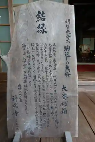 神藏寺の歴史