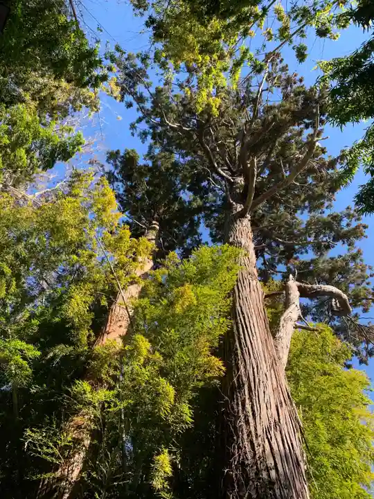 熊野神社(千葉県)