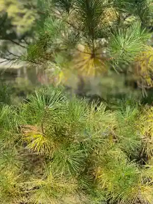 毛越寺(岩手県)