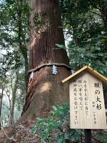 丹生川上神社（中社）(奈良県)