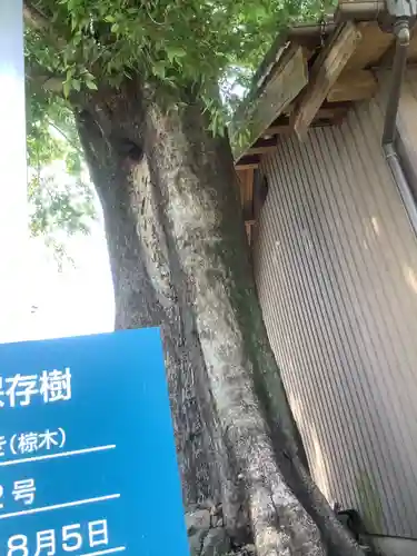 虚空蔵堂(岐阜県)