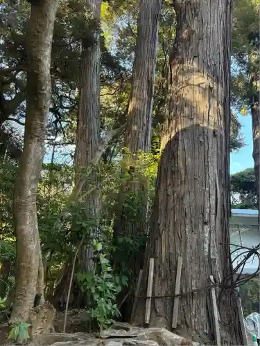 鹿島神宮(茨城県)