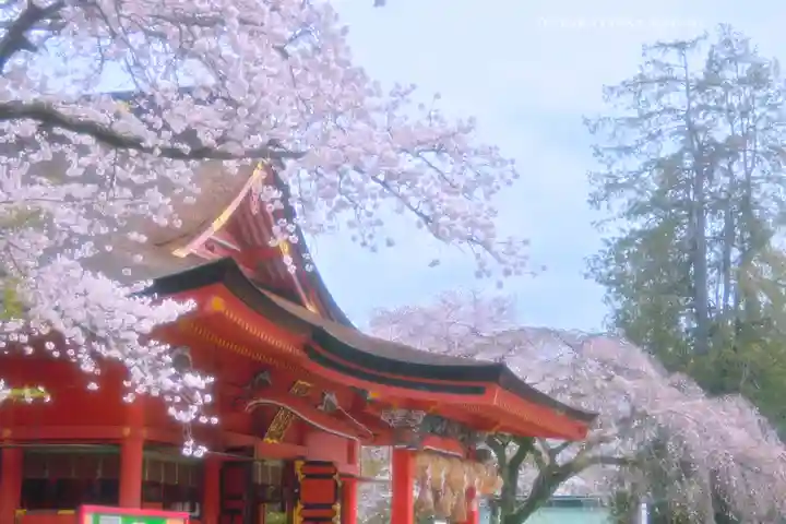 富士山本宮浅間大社(静岡県)