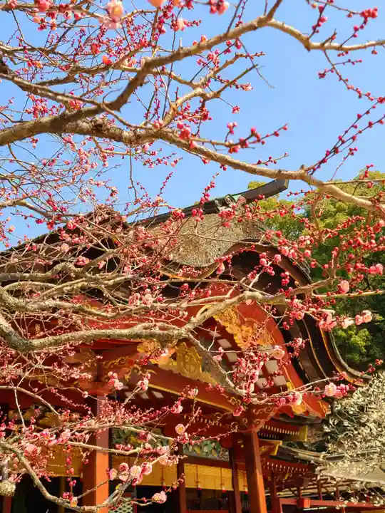 太宰府天満宮のその他建物