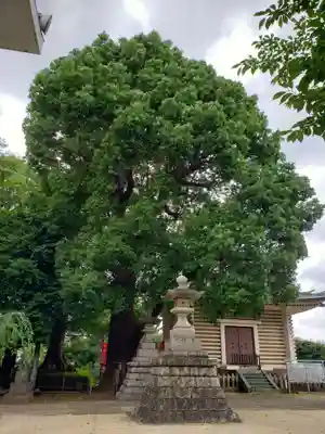 諏訪神社のその他建物