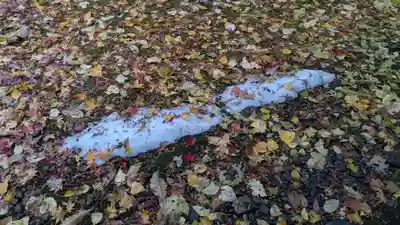 上川神社の自然