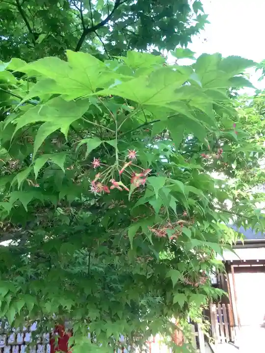 三輪神社の自然