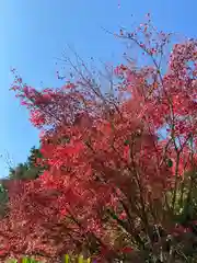 瀧光徳寺(佐賀県)