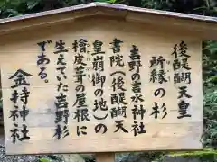 金持神社(鳥取県)