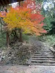 財賀寺(愛知県)