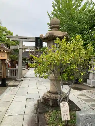 阿部野神社の鳥居