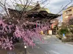 桜神宮の本殿