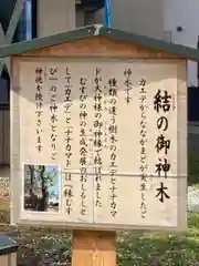 空知神社の建物その他