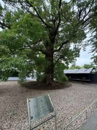 上野東照宮の{uncategorized: "未分類", other: "その他", undefined: "問題あり", building: "その他建物", grave: "お墓", sacred_gate: "鳥居", guardian: "狛犬", statue: "像", buddha: "仏像", history: "歴史", nature: "自然", garden: "庭園", animal: "動物", pagoda: "塔", temizu: "手水舎", mountain_gate: "山門・神門", sanctuary: "本殿・本堂", subordinate: "末社・摂社", art: "芸術", scenery: "景色", jizo: "地蔵", ema: "絵馬", goshuin: "御朱印", omikuji: "おみくじ", items: "授与品その他", amulet: "お守り", goshuincho: "御朱印帳", eats: "食事", festival: "お祭り", votive_dance: "神楽", shichigosan: "七五三参", wedding: "結婚式", experience: "体験その他", initially: "初詣", around: "周辺", anti_infection: "感染症対策"}