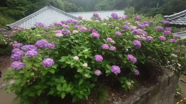 本光寺(愛知県)