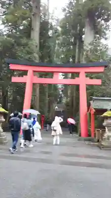 箱根神社の鳥居