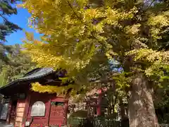 北口本宮冨士浅間神社(山梨県)