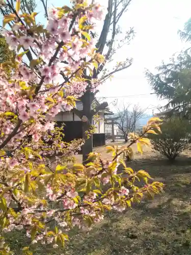 大己貴神社の景色