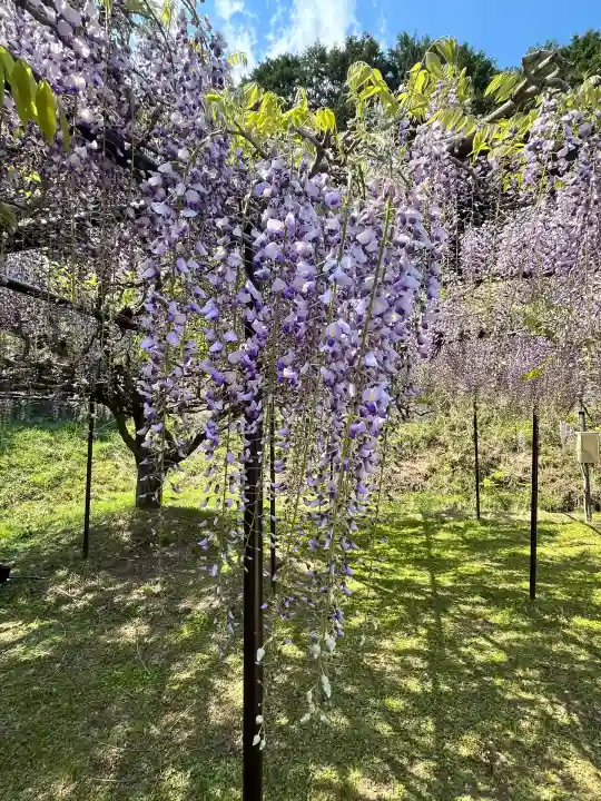 天台宗 五大山 白毫寺(兵庫県)