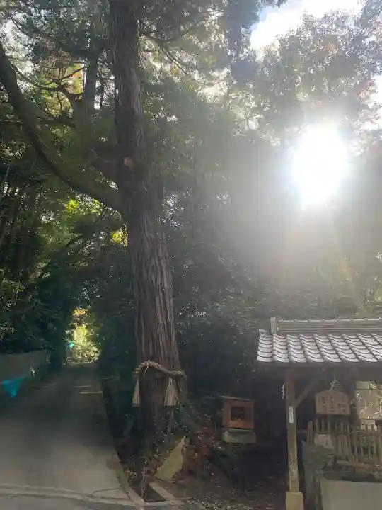 科長神社(大阪府)