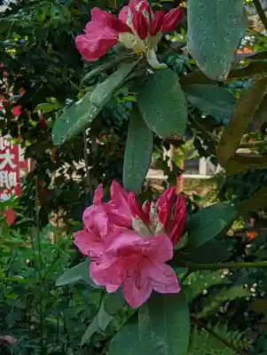 三大神社(滋賀県)
