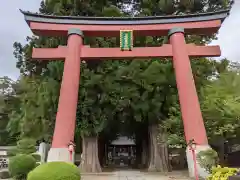 河口浅間神社の鳥居