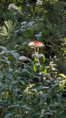 行願寺（革堂）(京都府)