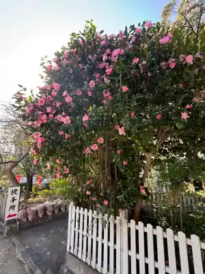 七所神社の{uncategorized: "未分類", other: "その他", undefined: "問題あり", building: "その他建物", grave: "お墓", sacred_gate: "鳥居", guardian: "狛犬", statue: "像", buddha: "仏像", history: "歴史", nature: "自然", garden: "庭園", animal: "動物", pagoda: "塔", temizu: "手水舎", mountain_gate: "山門・神門", sanctuary: "本殿・本堂", subordinate: "末社・摂社", art: "芸術", scenery: "景色", jizo: "地蔵", ema: "絵馬", goshuin: "御朱印", omikuji: "おみくじ", items: "授与品その他", amulet: "お守り", goshuincho: "御朱印帳", eats: "食事", festival: "お祭り", votive_dance: "神楽", shichigosan: "七五三参", wedding: "結婚式", experience: "体験その他", initially: "初詣", around: "周辺", anti_infection: "感染症対策"}