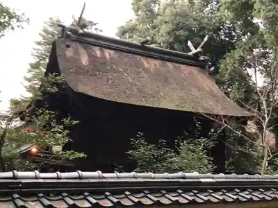 神谷神社の本殿・本堂