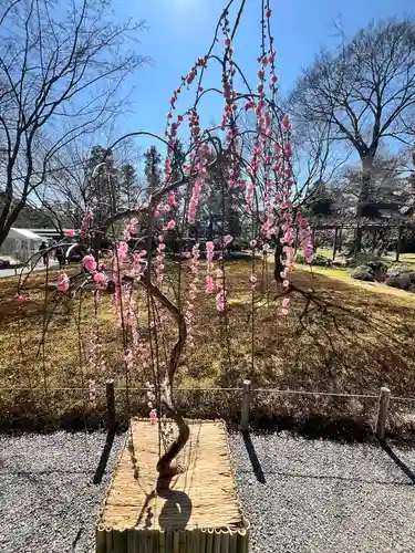 城南宮(京都府)