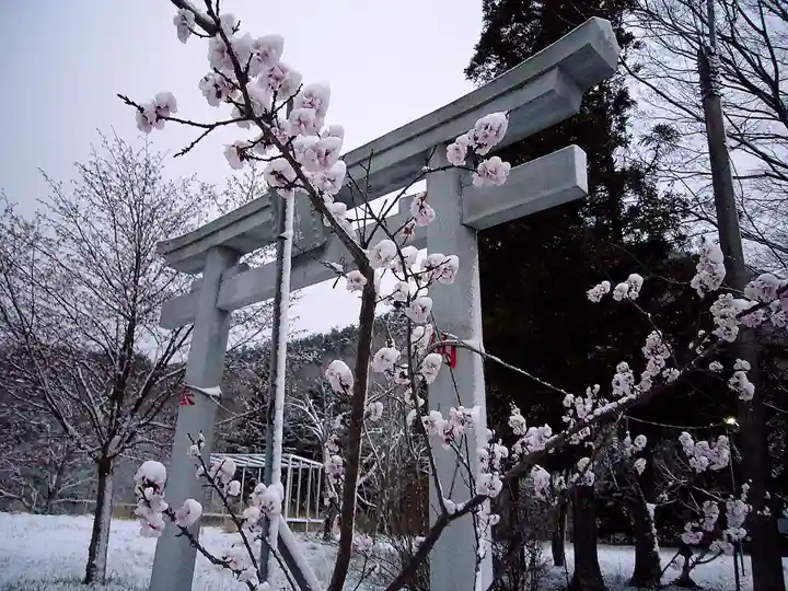 示現神社(栃木県)