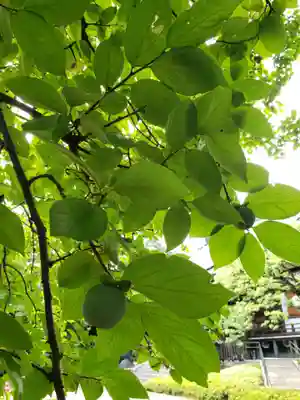 福蔵院(東京都)