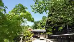 光明寺（粟生光明寺）の建物その他