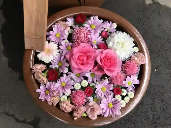 多賀神社の手水舎