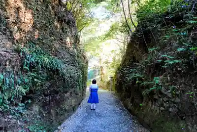 目の霊山　油山寺の自然