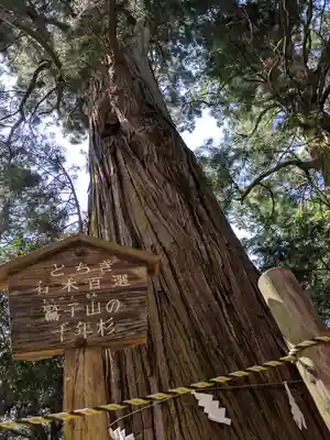 鷲子山上神社のその他建物